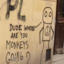 Dude where are you monkeys goiing? (8125508700)