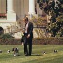 George H. W. Bush with his pet Millie and her puppies